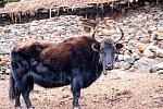 Nepal Rundreise