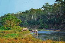 Nepal Rundreise - Chitwan Nationalpark