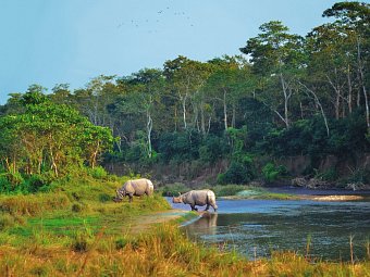 Nepal Rundreise - Chitwan Nationalpark