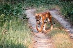Nepal Rundreise