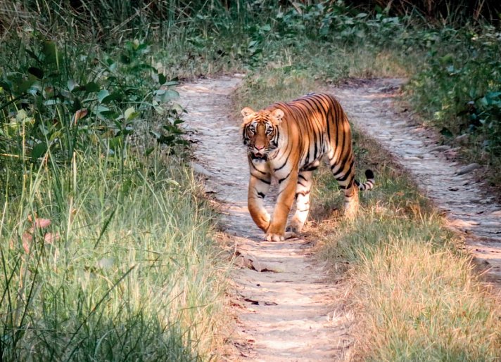 Nepal Rundreise