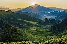 Malaysia Rundreisen & Baden - Cameron Highlands