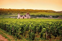 Flusskreuzfahrt Rhône - Weingut