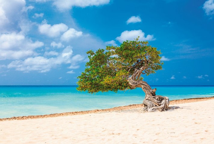 Kreuzfahrt Karibik - Aruba