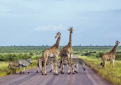 Südafrika & Mauritius Rundreise und Baden