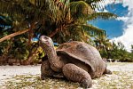 Mauritius Kombireise