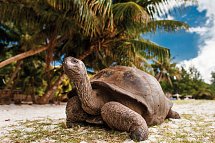 Mauritius Kombireise