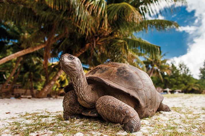 Mauritius Kombireise