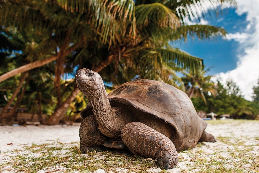 Mauritius Kombireise