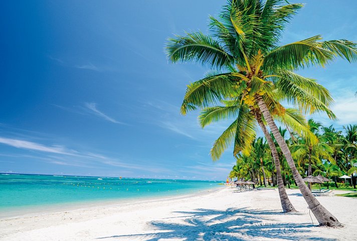 3-Länder-Kombi / Dubai – Südafrika Rundreise – Mauritius Baden - Mauritius