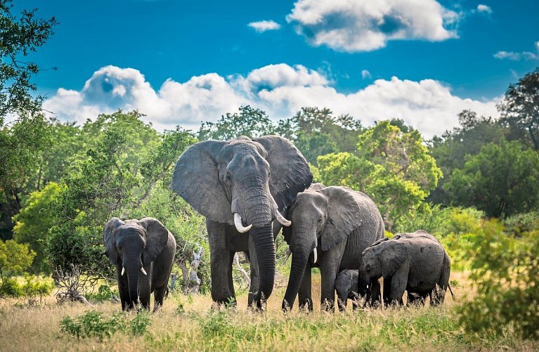 Dubai, Südafrika & Mauritius 3-Länder Kombination