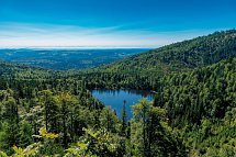 Donna Hotel Klosterhof - Blick auf den Rachelsee im Nationalpark Bayerischen Wald