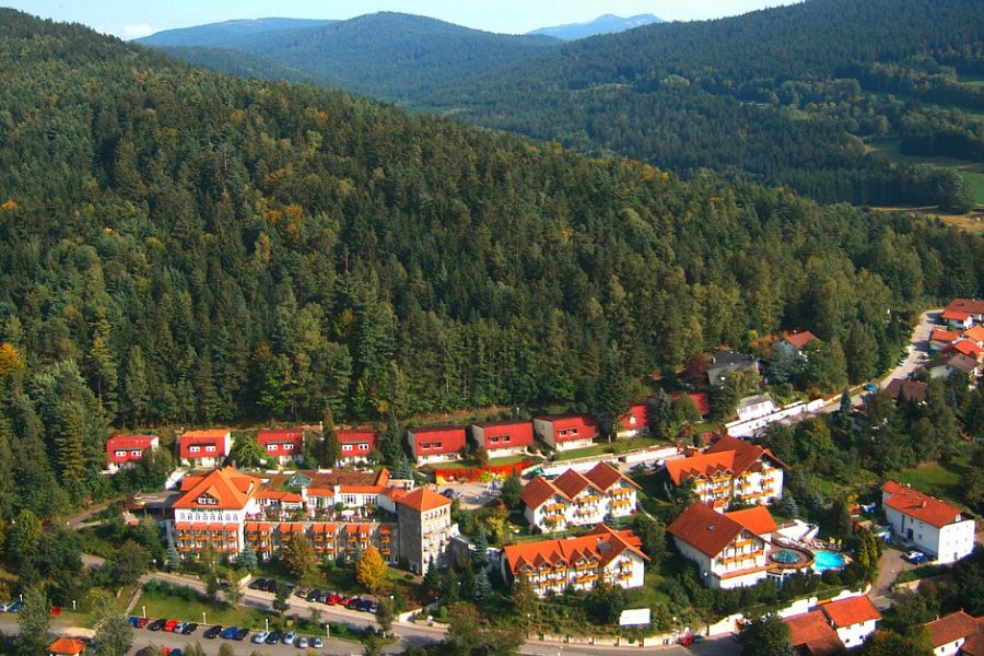 Donna Burghotel am Hohen Bogen - Luftansicht Hotelanlage