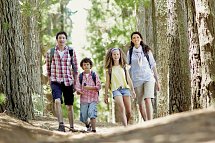 Donna Burghotel am Hohen Bogen - Waldspaziergang