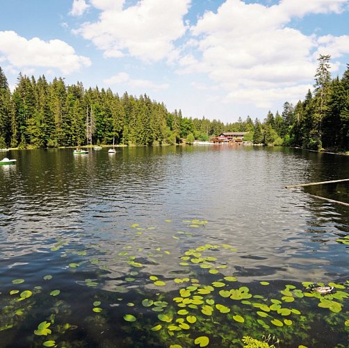 Donna Burghotel am Hohen Bogen - Großer Arbersee