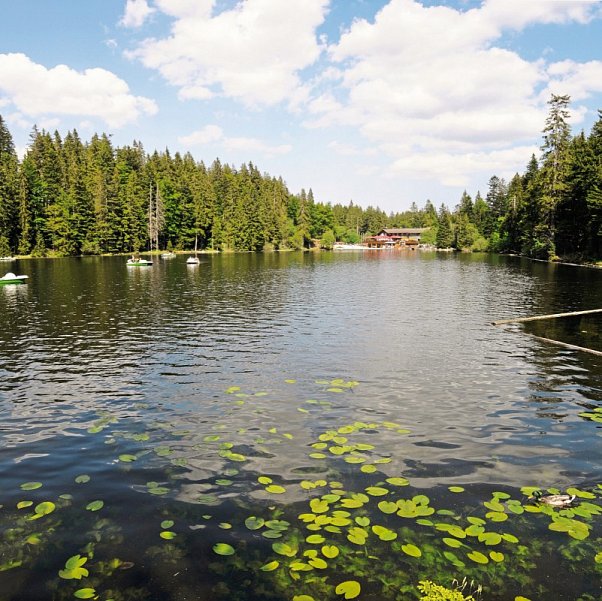 Donna Burghotel am Hohen Bogen - Großer Arbersee