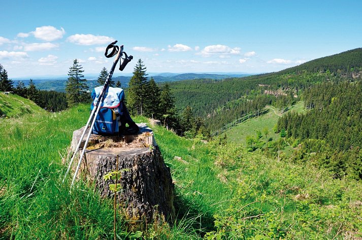 Donna Burghotel am Hohen Bogen - Panoramablick Thüringer Wald