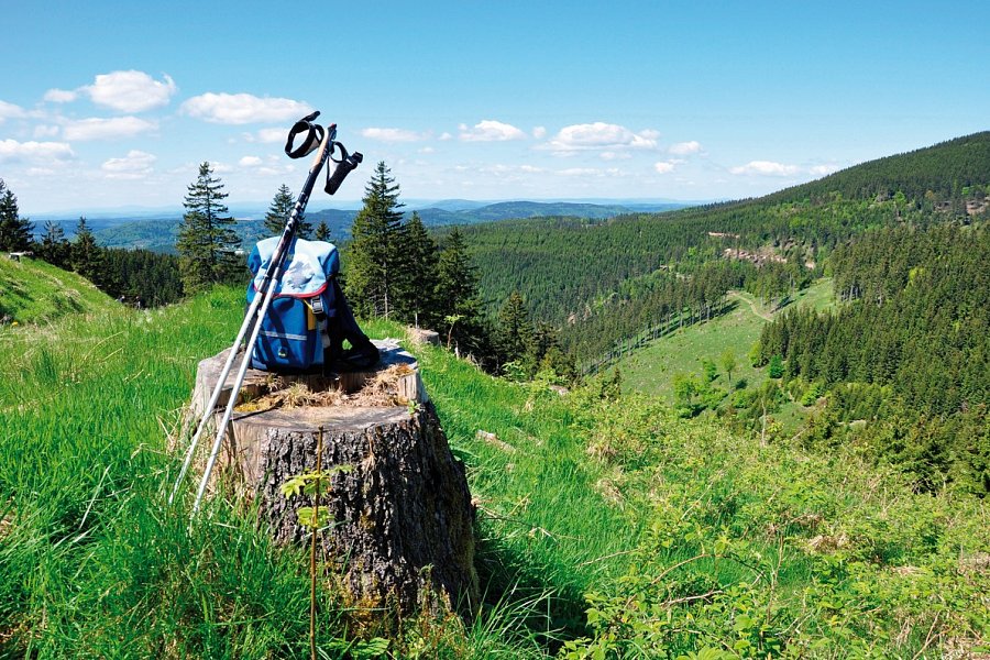 Donna Burghotel am Hohen Bogen - Panoramablick Thüringer Wald