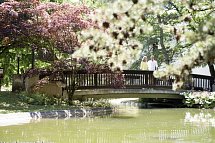 Kurhotel Würdinger Hof - Kurpark Bad Füssing