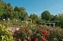 Best Western Premier Parkhotel Bad Mergentheim - Rosengarten