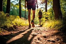 Best Western Premier Parkhotel Bad Mergentheim - Sommerwanderung im Wald