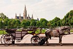 Flusskreuzfahrt Donau Boat & Bike (bis Wien)