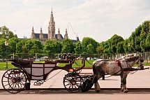 Flusskreuzfahrt Donau Boat & Bike (bis Wien) - Wien, Kutsche