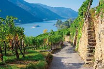 Flusskreuzfahrt Donau Boat & Bike (bis Wien) - Wachau