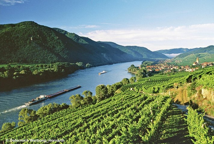 Flusskreuzfahrt Donau bis Wien - Weissenkirchen in der Wachau