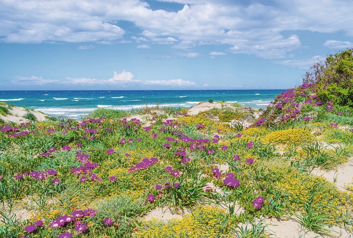 Q-Resort - Platamona Strand