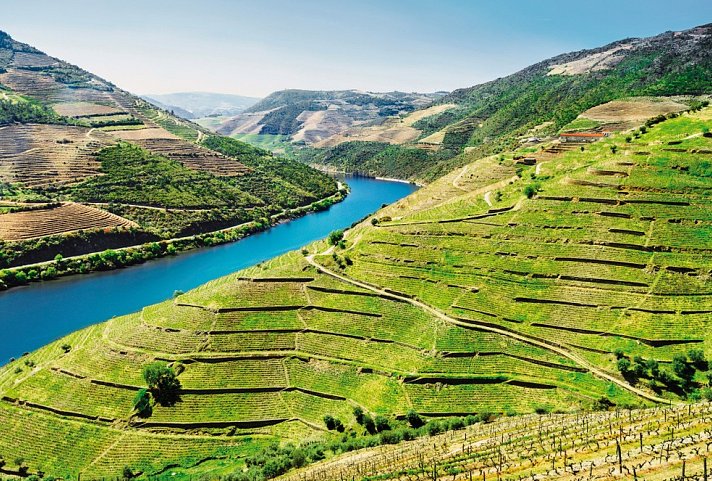 Flusskreuzfahrt Douro - Weinberge