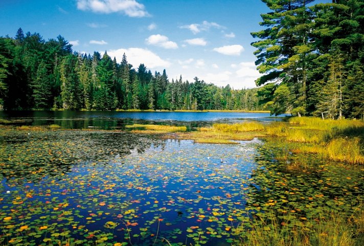 Kanada Rundreise & Badeaufenthalt Mexiko - Algonquin Provincial Park