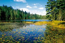 Kanada Rundreise & Badeaufenthalt Karibik - Algonquin Provincial Park