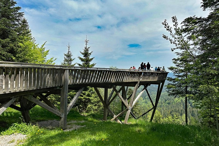 Hotel Lamm Mitteltal - Elbbachseeblick - Aussichtsplattform
