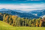 Hotel Lamm Mitteltal