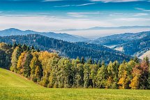 Hotel Lamm Mitteltal - Schwarzwald - Landschaft