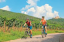 Mosinto's Römischer Kaiser - Fahrradtour durch die Weinberge