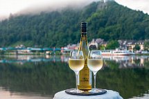 Landhotel Ringelsteiner Mühle - ÜF Paket - Riesling an der Mosel