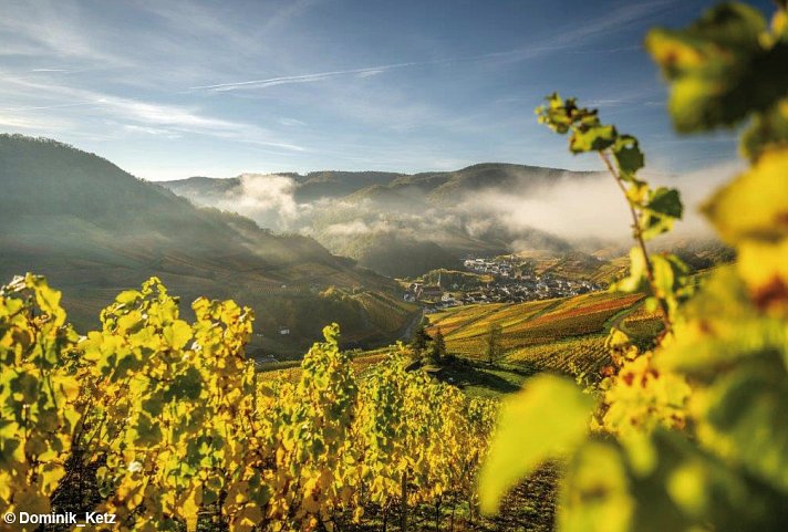 Hotel Alex an der Ahr