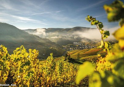 Hotel Alex an der Ahr Bad Neuenahr