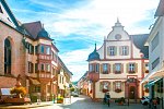 Hotel Luisenpark