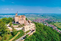 Hotel Luisenpark - Schloss Hambach