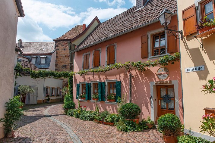 Hotel Weinheber Hornung - Haintor in Freinsheim