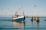 SEETELHOTEL Ostseehotel Ahlbeck