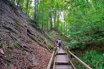 Santé Royale Rügen Resort - Wandern im Nationalpark Jasmund