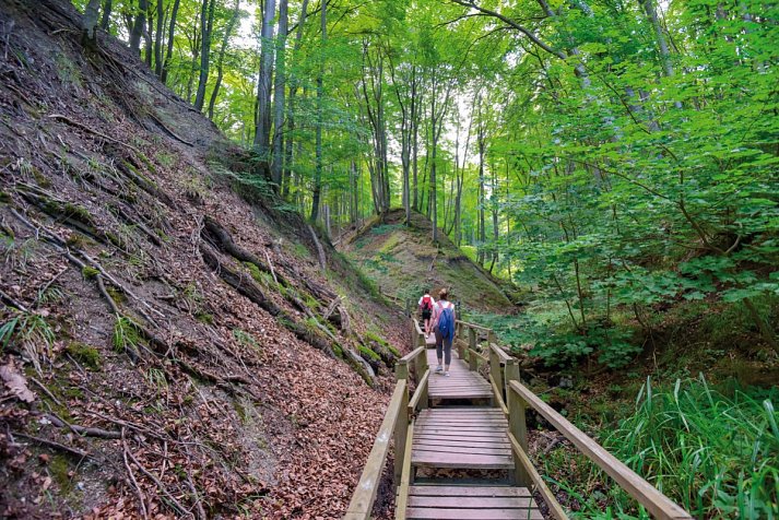 Santé Royale Rügen Resort - Wandern im Nationalpark Jasmund