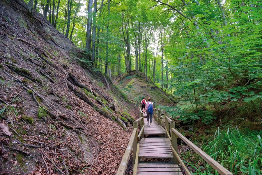 Santé Royale Rügen Resort - Wandern im Nationalpark Jasmund