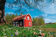 Minikreuzfahrt Südschweden inkl. Malmö - Haus in Schweden