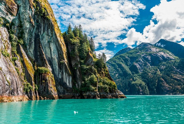 Kreuzfahrt Alaska - Tracy Arm