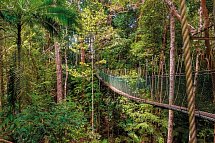 Singapur & Malaysia Rundreise - Taman Negara National Park